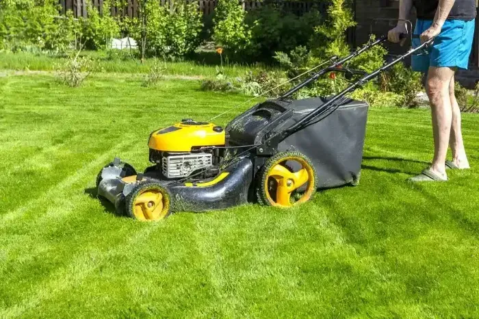 Affordable Lawn Mowing in Federal Way, WA