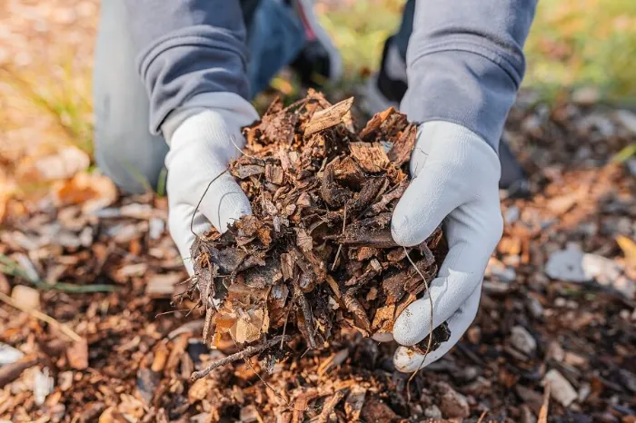 Dependable Mulching in Federal Way, WA