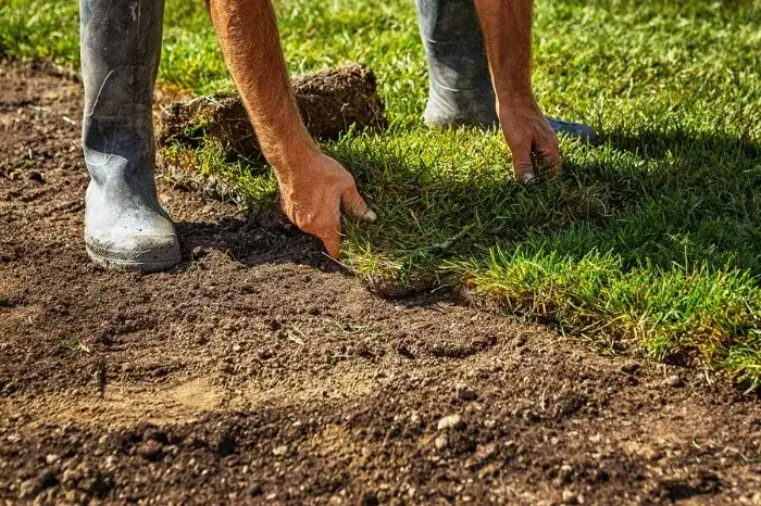 Excellent Sod Installation in Federal Way, WA