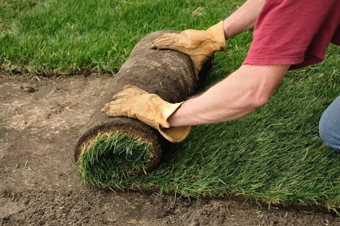 Proficient Sod Installation in Federal Way, WA