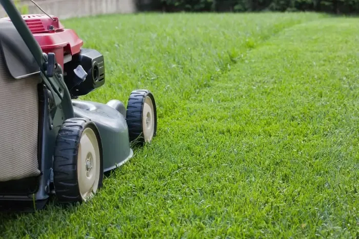 Reliable Lawn Mowing in Federal Way, WA