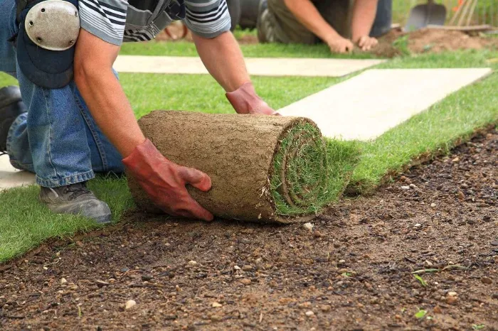 Trusted Sod Installation in Federal Way, WA